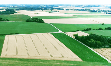 Champ d'agriculture