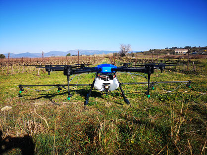 Drone d'intervention viticulture